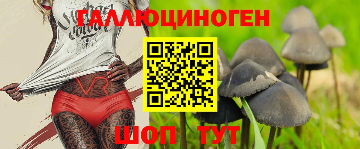 Псилоцибиновые грибы Psilocybine cubensis  Вход с VPN  Ессентуки 